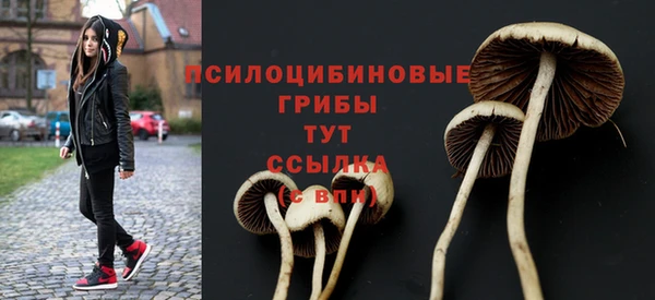 крисы Кинешма