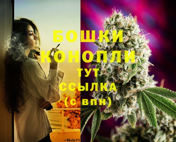крисы Кинешма