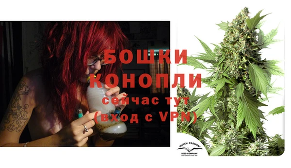 крисы Кинешма
