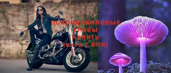 мдпв Киренск